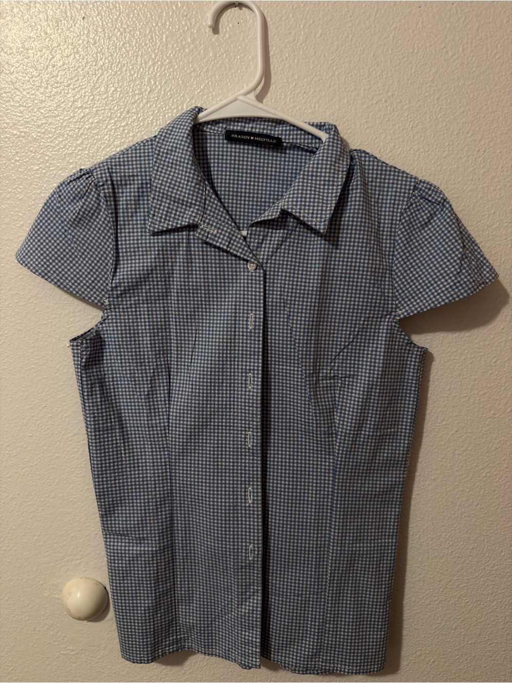 Brandy Melville Blue and White Gingham Short-Sleeve Button-Up Shirt